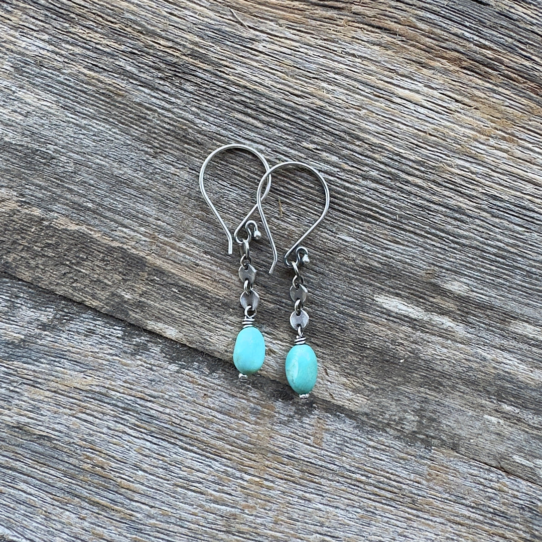 Spring Creek - Campitos Turquoise Sequin Earrings