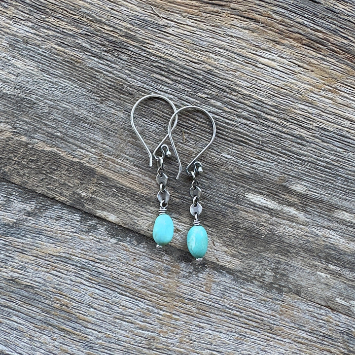 Spring Creek - Campitos Turquoise Sequin Earrings