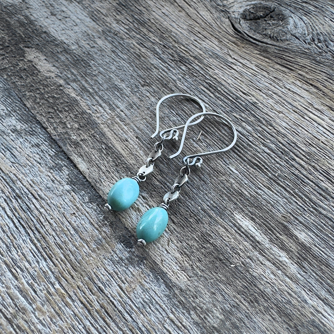 Spring Creek - Campitos Turquoise Sequin Earrings