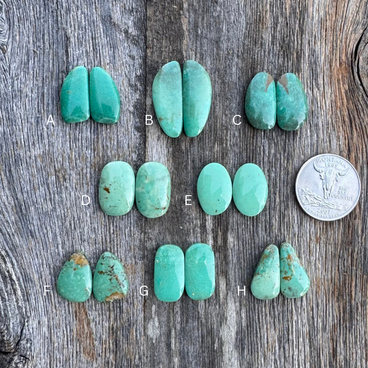 Turquoise stones labeled A to H on a wooden surface with a coin for scale.